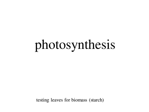 Testing a leaf for starch