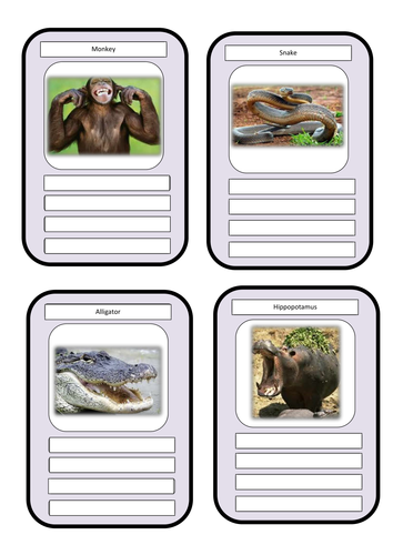 Animal top trump cards | Teaching Resources