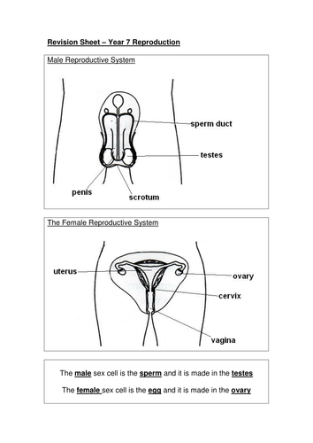 reproduction revision sheet