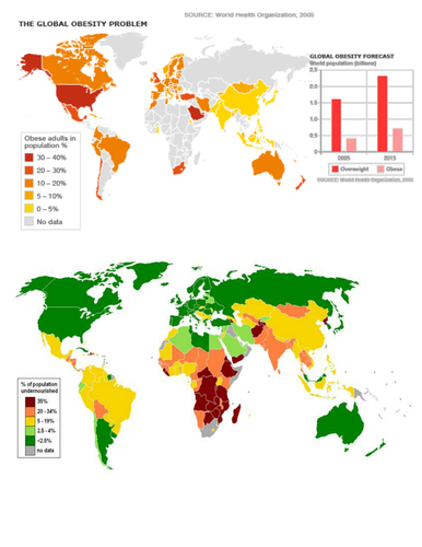 Malnutrition Lesson focusing on Protein