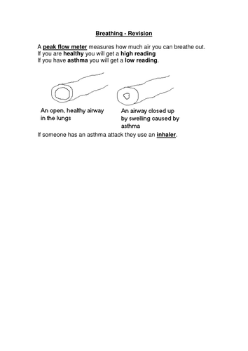 Breathing revision sheet
