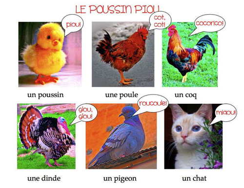 Poussin piou,a ridiculously infectious little song