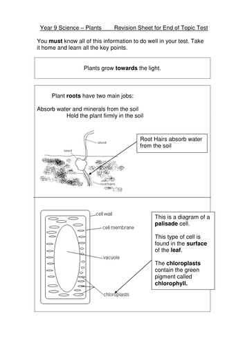 year 9 plants revision teaching resources