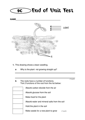 year 9 plants test