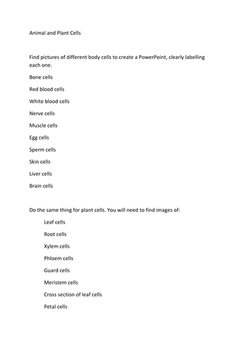 Animal and plant cells