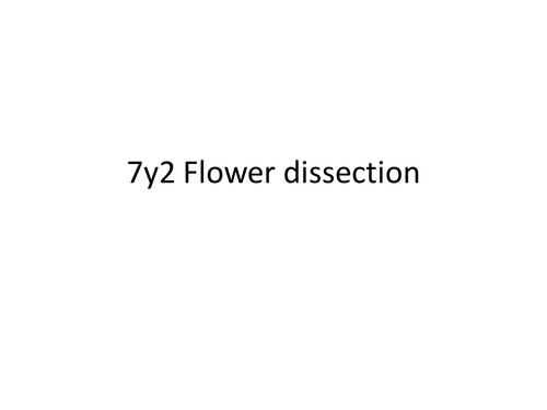 Cells - flower parts and dissection