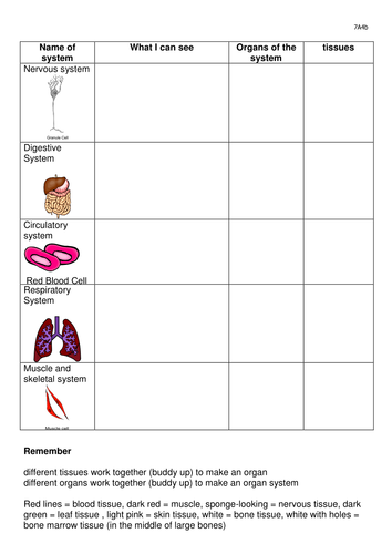 Cells tissues and organs lesson plan