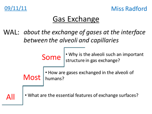 4.3 Gas exchange in the lungs AQA AS Biology