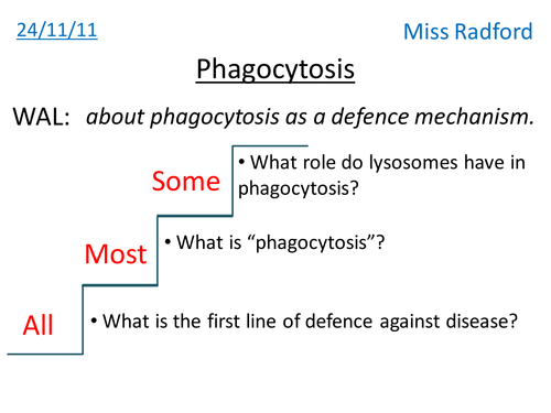 6.2 Phagocytosis AQA AS Biology