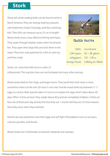 Reading comprehension - Stork