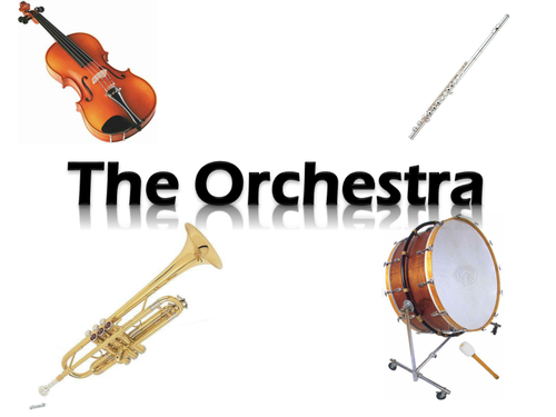 The Orchestra - Percussion