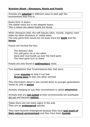 Dinosaur revision sheet