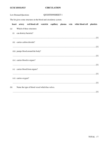 GCSE circulation questions and answers