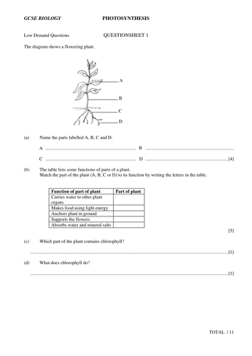 GCSE plants questions and answers | Teaching Resources