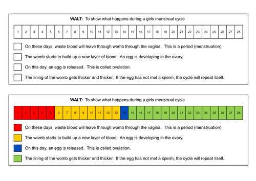 Printables Puberty Worksheets ks 3 puberty menstrual cycle worksheets by dazayling teaching resources tes