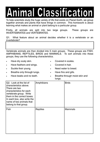 Vertebrate / Invertebrate Classification Worksheet by dazayling