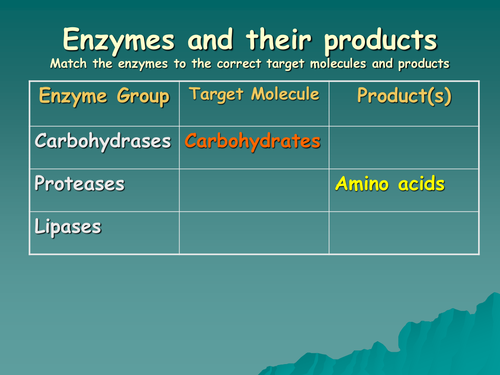 Enzymes and their products starter