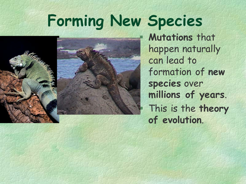 Forming a new species