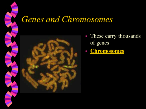 Genes and chromosomes plenary
