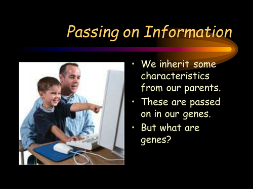 Genes and chromosomes ppt