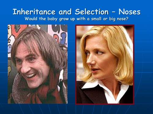 Inheritance noses starter