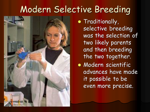 Modern selective breeding