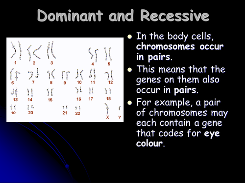 Dominant and recessive