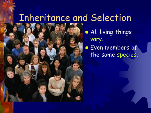 INHERITANCE AND SELECTION PPT