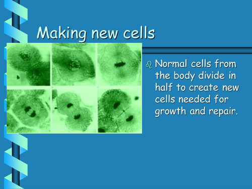 Making new cells