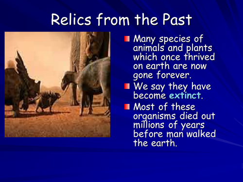 Relics from the past