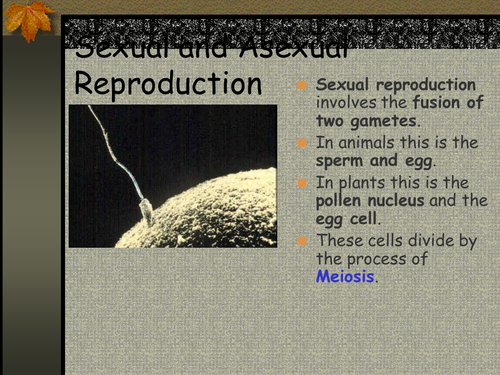 Sexual and asexual reproduction