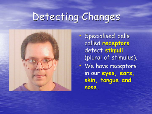 Detecting changes