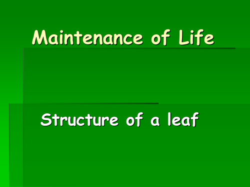 Leaf structure ppt