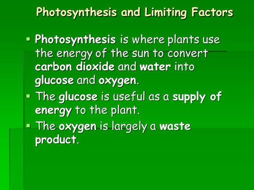 Photosynthesis limiting factors ppt