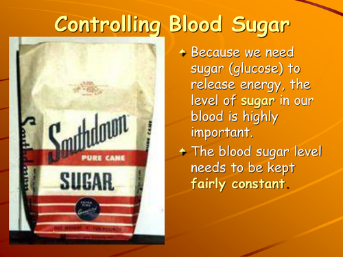 Controlling blood sugar foundation