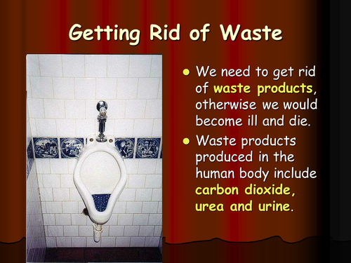 Getting rid of waste ppt
