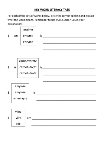 Food and digestion key word tasks