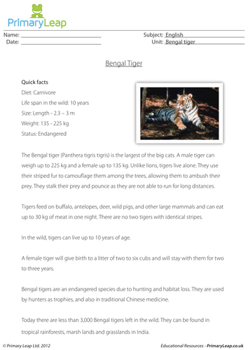 Reading comprehension - Bengal tiger