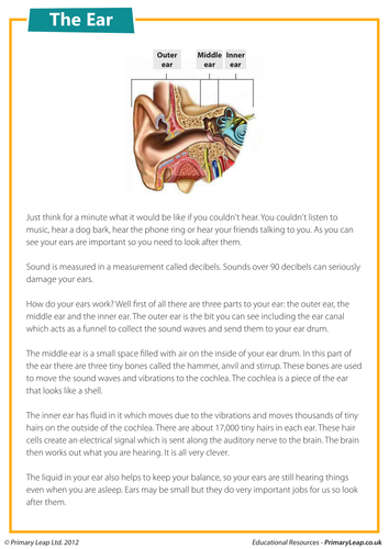 Comprehension - The ear