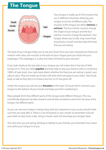 Comprehension - The tongue
