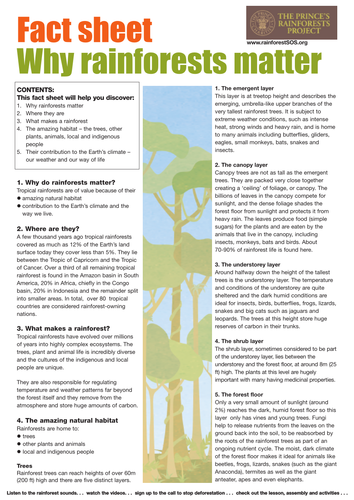 Rainforest Factsheets By Theprincesrainforestproject Teaching Resources Tes 2172