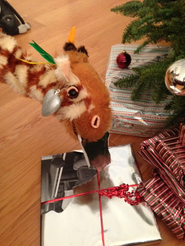 Geraldine Giraffe Does Christmas!