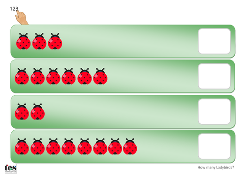 How many Ladybirds? TEACCH Activity