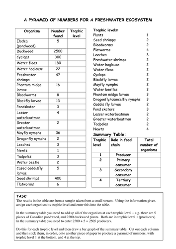 pyramids-of-number-biomass-and-energy-by-paulachild-teaching-resources-tes