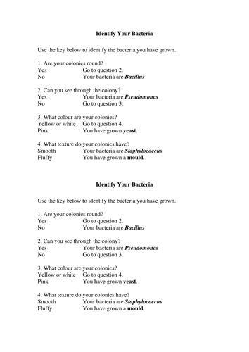 Identifying bacteria