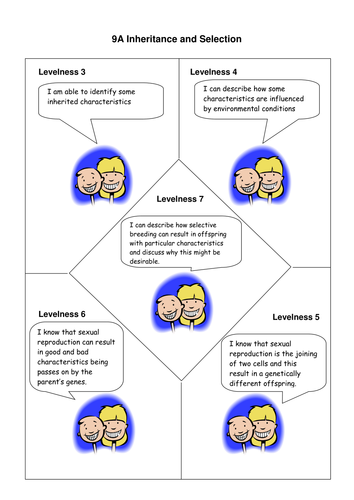 9A inheritance & selection: Levelness guide