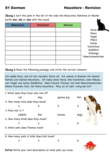 Hast du ein Haustier Worksheet | Teaching Resources