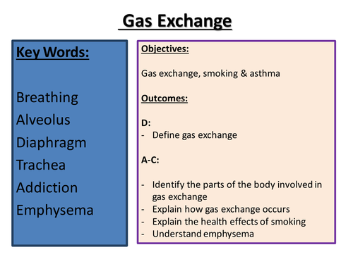 Respiration & Gas Exchange