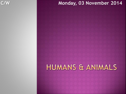 Humans & Animals