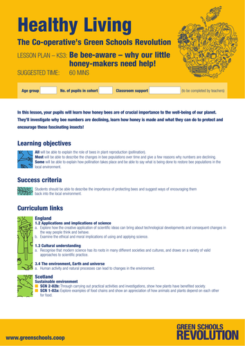 Bee-aware: why our little honey-makers need help